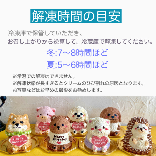 カワウソの立体ケーキ 誕生日 記念日 動物ケーキ かわうそ [ご