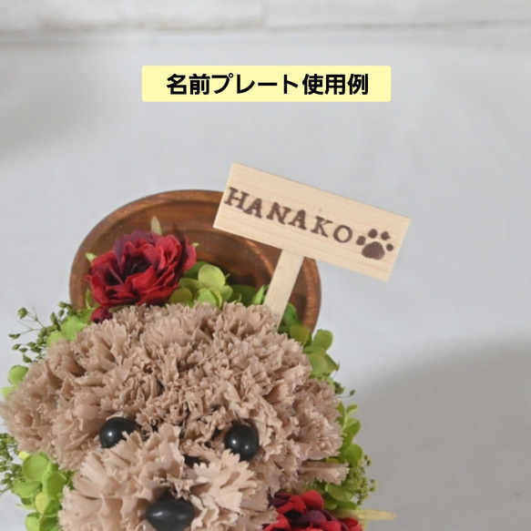 再販★カーネーションの犬【濃い茶色】犬 花 プリザーブドフラワー ペット 母の日 お供え 誕生日 カーネーション 13枚目の画像