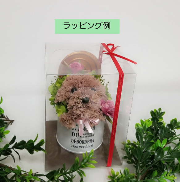 再販★プリザーブドフラワーの犬(濃い茶色)／犬 花 ペット トイプー フラワー 母の日 お供え 誕生日 カーネーション 9枚目の画像