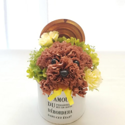 再販★カーネーションの犬【濃い茶色】犬 花 プリザーブドフラワー ペット 母の日 お供え 誕生日 カーネーション 3枚目の画像