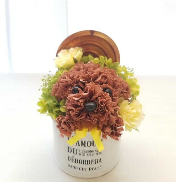 再販★カーネーションの犬【濃い茶色】犬 花 プリザーブドフラワー ペット 母の日 お供え 誕生日 カーネーション 3枚目の画像