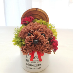 再販★カーネーションの犬【濃い茶色】犬 花 プリザーブドフラワー ペット 母の日 お供え 誕生日 カーネーション 2枚目の画像