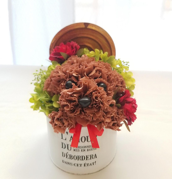 再販★カーネーションの犬【濃い茶色】犬 花 プリザーブドフラワー ペット 母の日 お供え 誕生日 カーネーション 2枚目の画像