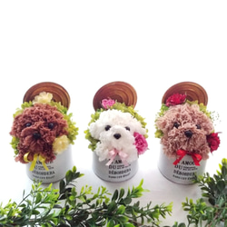 再販★カーネーションの犬【濃い茶色】犬 花 プリザーブドフラワー ペット 母の日 お供え 誕生日 カーネーション 10枚目の画像