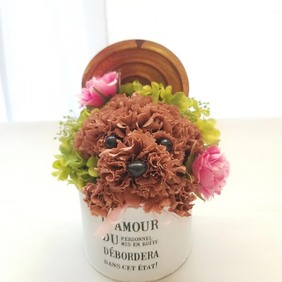 再販★カーネーションの犬【濃い茶色】犬 花 プリザーブドフラワー ペット 母の日 お供え 誕生日 カーネーション 5枚目の画像