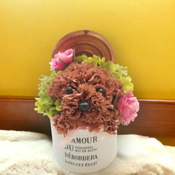 再販★カーネーションの犬【濃い茶色】犬 花 プリザーブドフラワー ペット 母の日 お供え 誕生日 カーネーション 1枚目の画像