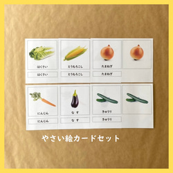 絵カード☆くだもの6種セットA おもちゃ・人形 Seedling Montessori