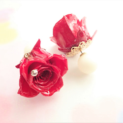 Rosemellia　玫瑰永生花　樹脂加工耳環　珍珠後耳扣　❊空郵台灣5-7天 第6張的照片