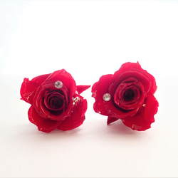 Rosemellia　玫瑰永生花　樹脂加工耳環　珍珠後耳扣　❊空郵台灣5-7天 第3張的照片