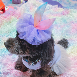 ベビーキッズ用 うさ耳チュールヘアクリップ ヘアバンド ハロウィン 誕生日 バースデー ピン アクセサリー 犬 ペット 10枚目の画像