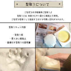  第6張的照片