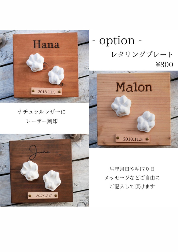  第9張的照片