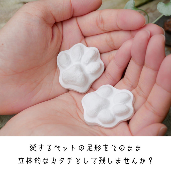  第2張的照片