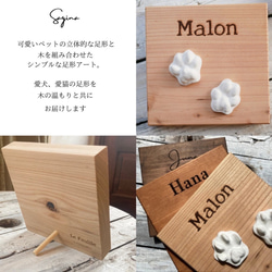  第3張的照片