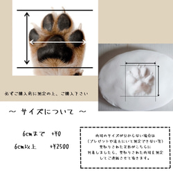 ペット　足形アート『Sagina ~サギナ~』犬　猫　足型　ペットグッズ　メモリアルボード 足形アート　肉球アート 5枚目の画像