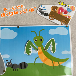 ＊はらぺこカマキリ＊ 4枚目の画像