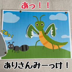 ＊はらぺこカマキリ＊ 3枚目の画像