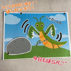 ＊はらぺこカマキリ＊ 2枚目の画像