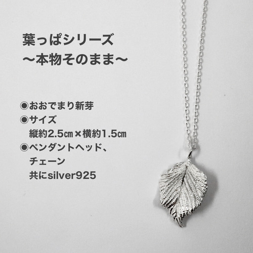 マリ様おまとめ。寺内ネックレスとお皿。 マリ様おまとめ。寺内