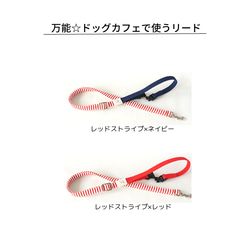 お得なセット販売☆【首輪＆リードセット】 15枚目の画像