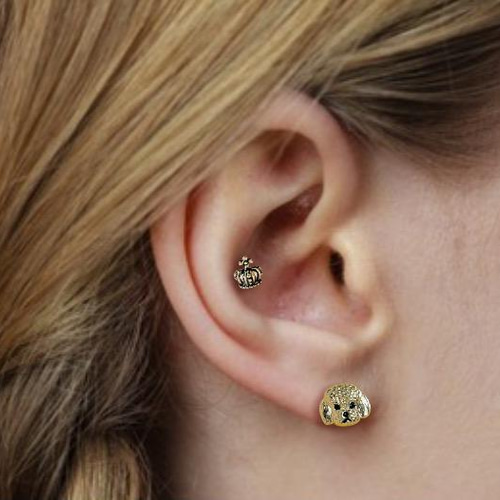 トイプードル わんこ うちの子 ボディピアス dog 犬 プードル  