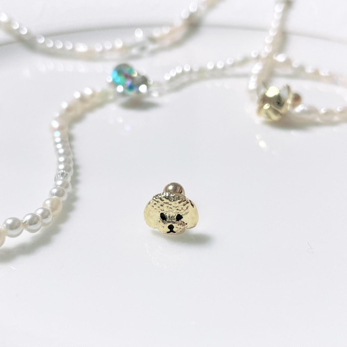 トイプードル わんこ うちの子 ボディピアス dog 犬 プードル