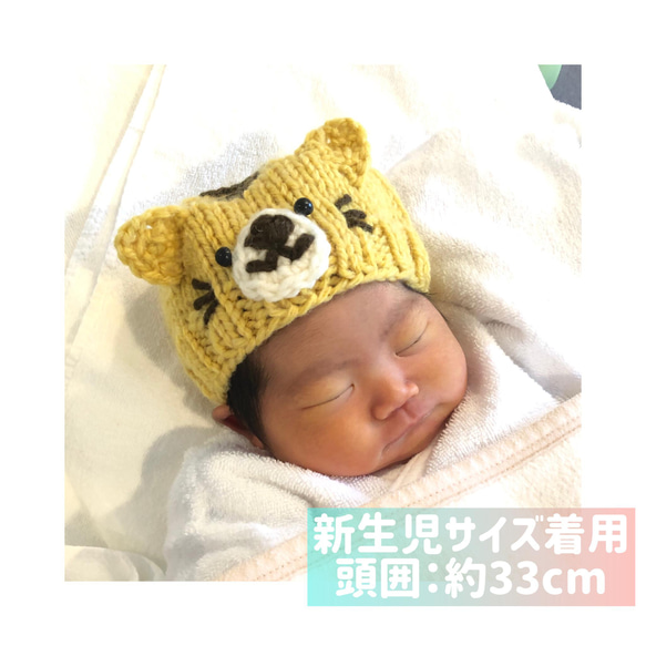 【新生児サイズ】2022年干支寅年 とらさんニット帽＆かぼちゃパンツセット 帽子 6枚目の画像