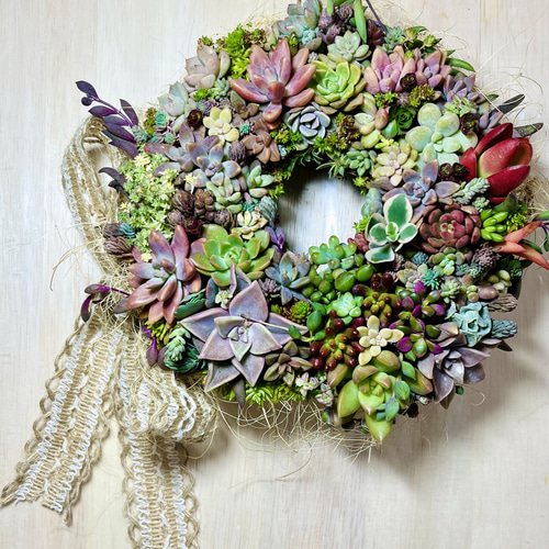 多肉植物リース 紅葉 寄植え リース 20cm 麻リボン クリスマス お正月
