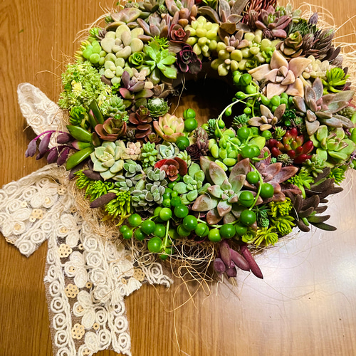 多肉植物リース 紅葉 寄植え リース 20cm 麻リボン クリスマス お正月