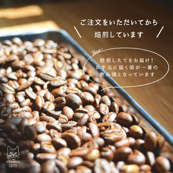 猫のコーヒー豆(200g)【マイルドネコチャンブレンド】自家焙煎珈琲/ギフト/プチギフト 5枚目の画像
