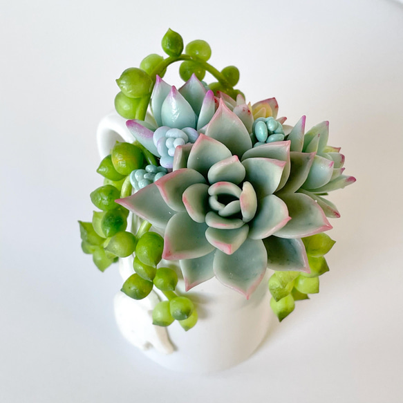 多肉寄せ植え♡グリーンネックレス 【公式通販】