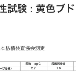 抗菌・抗ウイルス素材の洗えるストレッチマスク❣️息らくらく大きめ♪ほどよい厚みで3シーズンOK❗️各6色で新発売‼️ 16枚目の画像