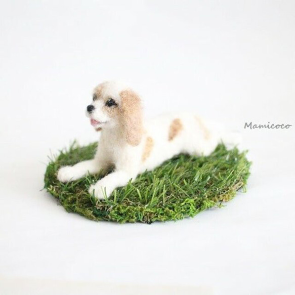 羊毛フェルトの動物・オーダーメイドについて♪ フェルト、羊毛 GM1680039119(13000円)