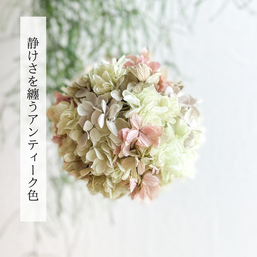 ドライフラワー★フライングリース　ボール★アンティーク　秋色紫陽花　癒し♪ 紫陽花2種のフライングボール☆ドライフラワーボール☆ボールリースの