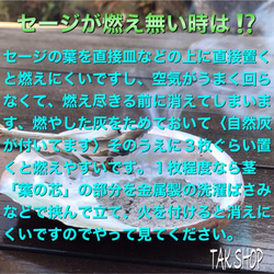 ✴︎最上級✴︎カルフォルニアホワイトセージ 100gプレゼント付✴︎箱にて発送 3枚目の画像