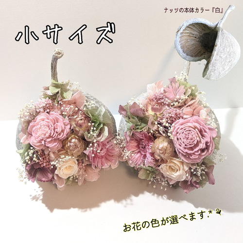 ブッダナッツアレンジ.確認用