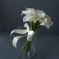 2c7b1a395769338aa4ef188996cfc4