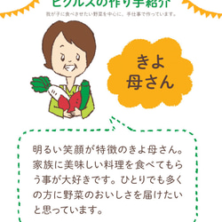 スイートかぼちゃピクルス◆おうちごはん＊ギフト＊ふるさと納税返礼品認定 12枚目の画像