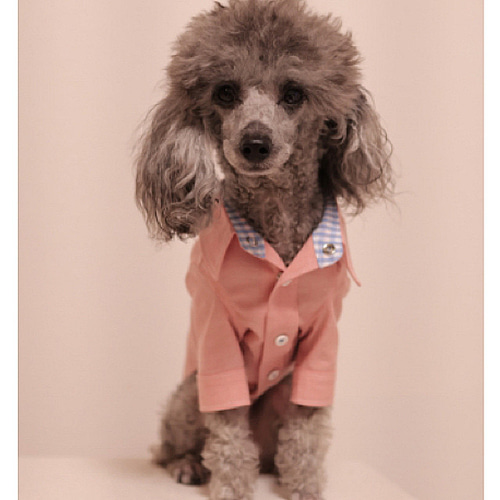 犬服 コーラルピンク☆着まわしできるダンガリーシャツ☆ドッグウェア