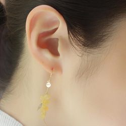 ミモザ　glass pierce&earring 3枚目の画像