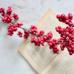 ツヤツヤレッドベリーガーランド【アーティフィシャルフラワー単品】 5枚目の画像