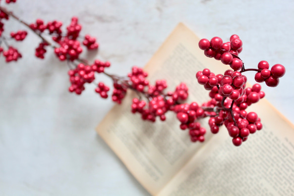 ツヤツヤレッドベリーガーランド【アーティフィシャルフラワー単品】 5枚目の画像