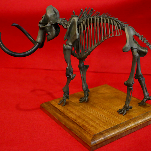骨董品　マンモスと黒檀　2点 Amazon.co.jp: マンモスの骨格、古代の生き物の化石モデルの装飾