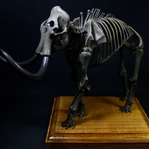 骨董品　マンモスと黒檀　2点 受注生産】【約24㎝】 マンモス 縮小全身骨格模型 【 絶滅種
