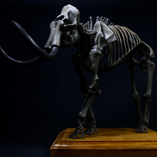 受注生産】【約24㎝】 マンモス 縮小全身骨格模型 【 絶滅種 】 その他