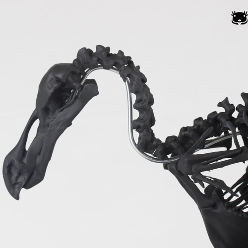 受注生産】【高さ約21cm】 ドードーの縮小全身骨格模型【Dodo