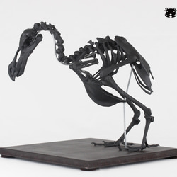 f109c3f3b9cf4602bc295aae71403a