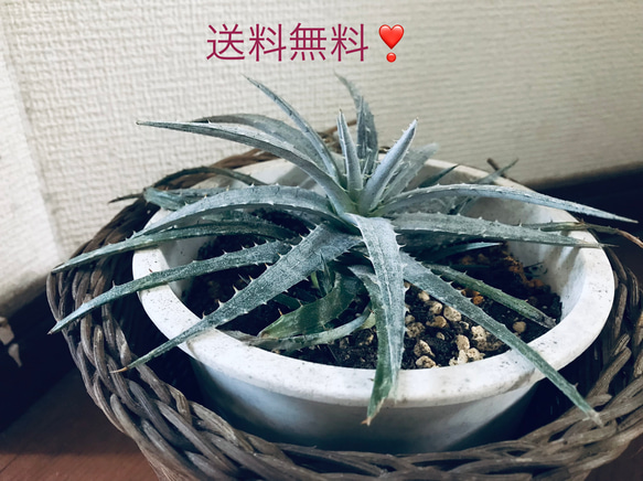 インバルディオ　デッキパーツ シルバーレア SR インバルディオ デッキパーツ シルバーレア SR インバルディオ