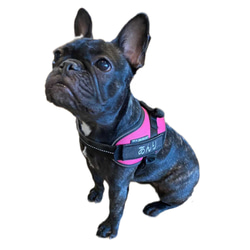 手作りペット服 - デザイナーの特別なセクションの武士フレンチ