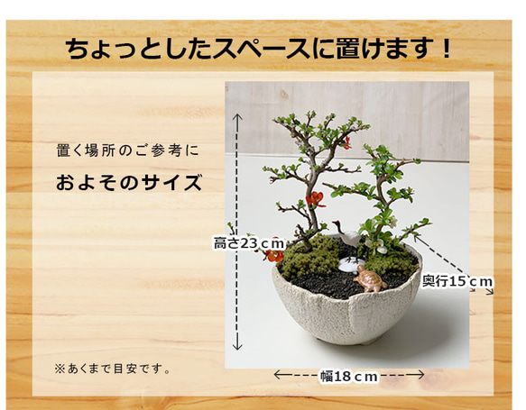  第5張的照片